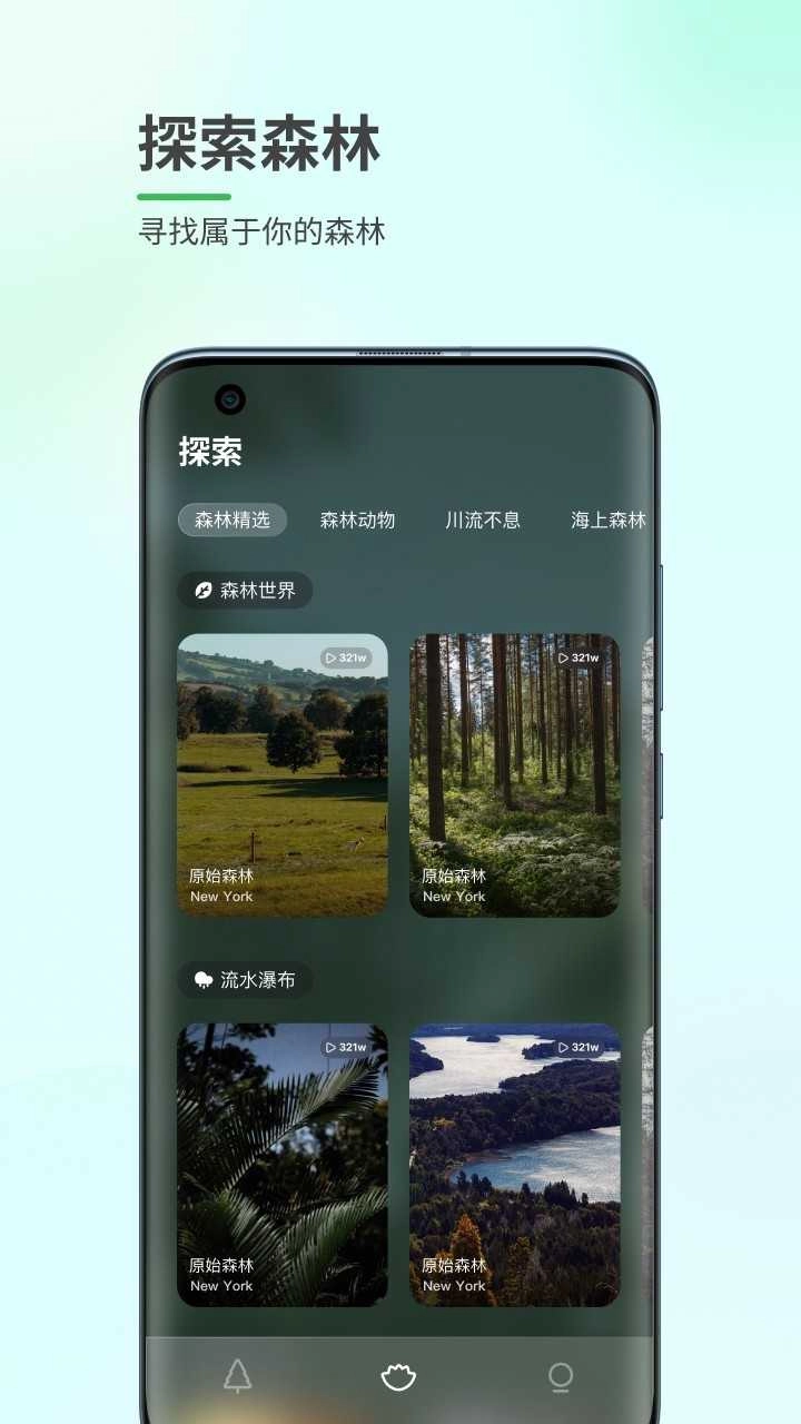 森林白噪音2