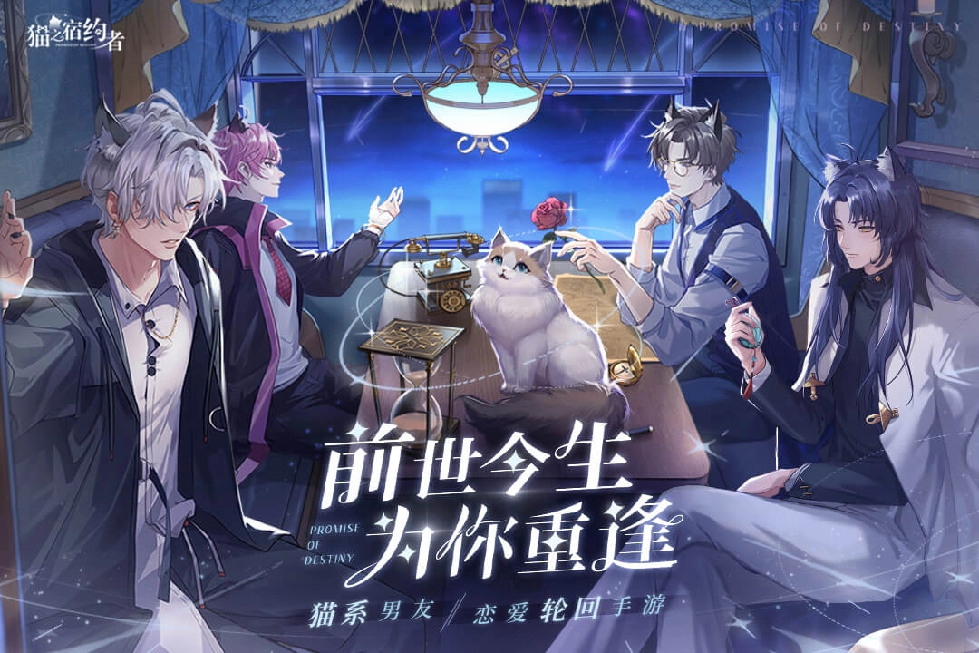 猫之宿约者2023安卓版(2)