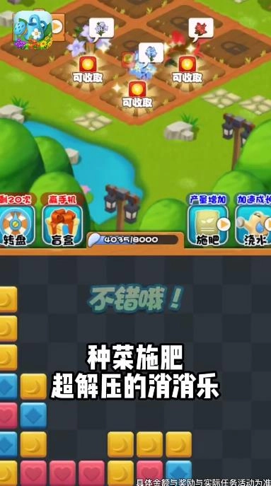 我的小院图2