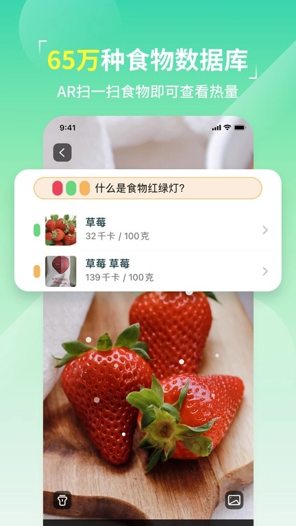 LEFU热量减肥法(4)