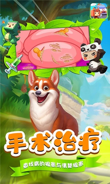 熊米米动物救助站2