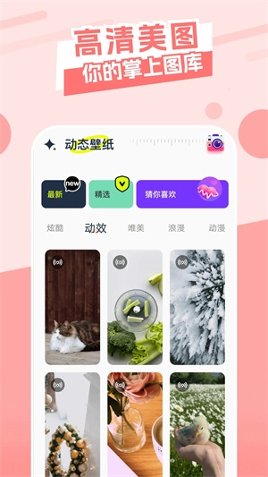 主题库手机版1