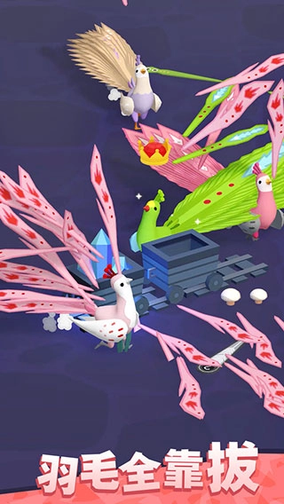 孔雀拔毛大赛图4