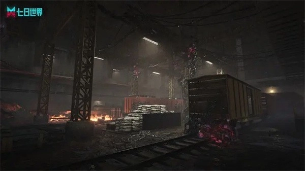 七日世界国际服