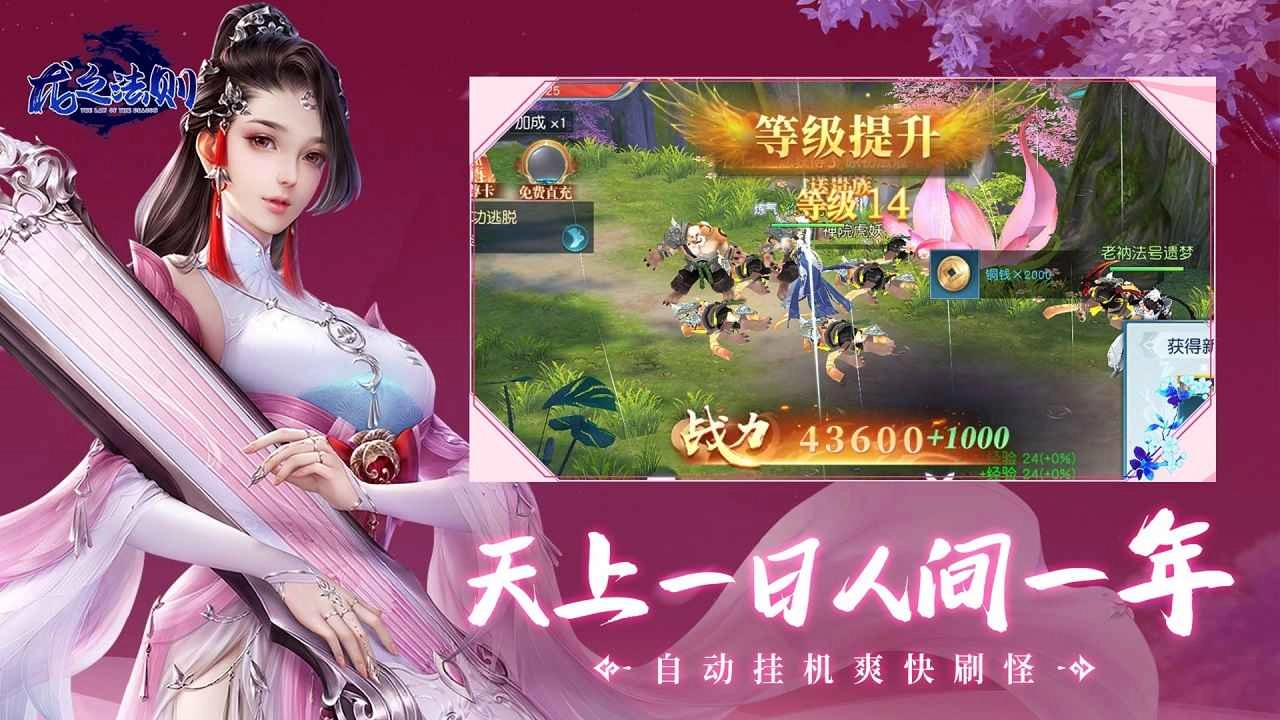 龙之法则