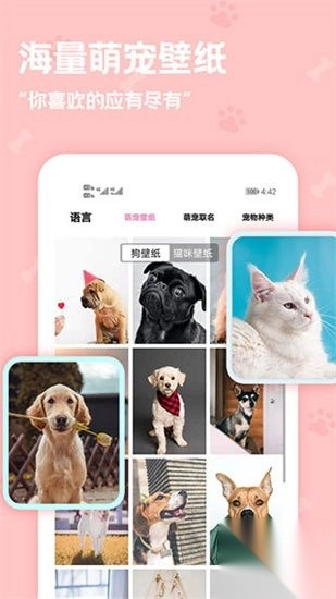 动物语言翻译器免费正版(3)