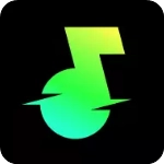 汽水音乐车机版