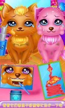 宠物小医生免费版4