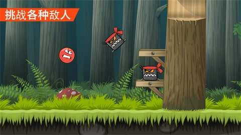 红球闯关4(RedBall4)(3)