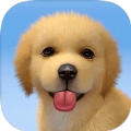 梦幻小狗游戏 V1.0.3