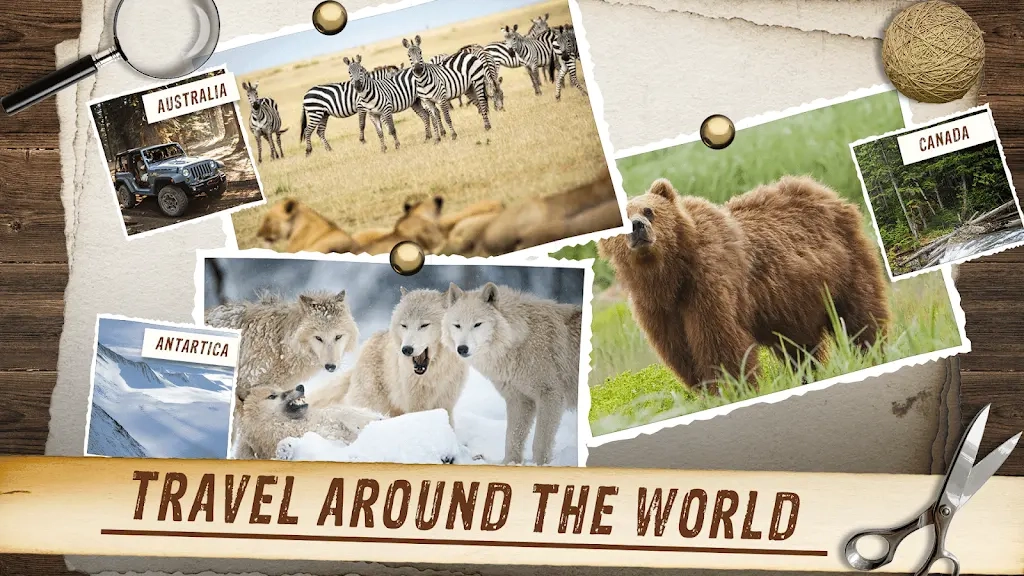 野生动物狩猎模拟器(5)