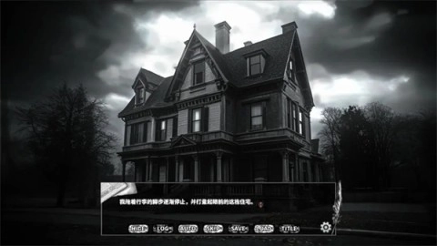 啮齿动物44号观察记录