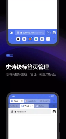 Vivaldi浏览器图2