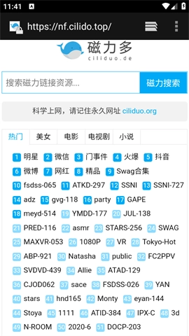 闪电磁力(2)