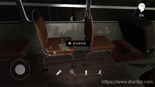 孙美琪疑案张红君图3