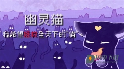 对人类过敏的猫