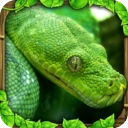 蟒蛇模拟器中文版 v1.5