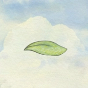 风子游戏无广告