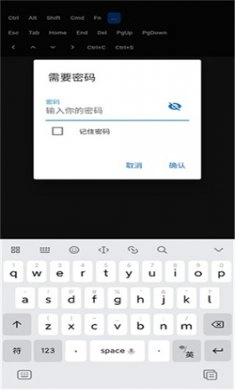 RustDesk手机版(1)