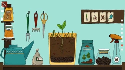 露露的家花园(HomeGardenLulu)图4