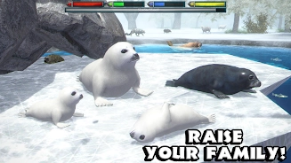 终极北极熊模拟器(ArcticSim)(1)