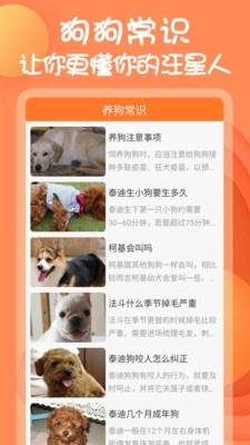 动物语言翻译器(3)