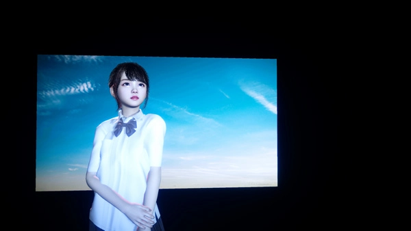 摄影师模拟游戏最新版