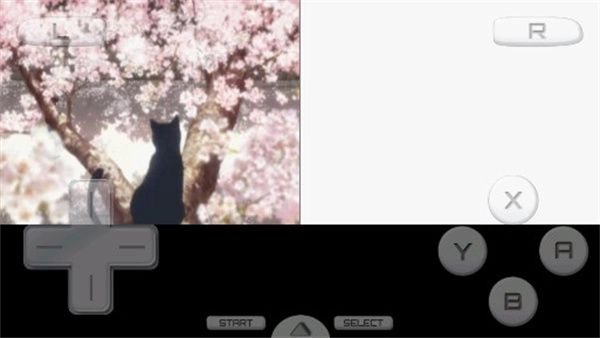 好想告诉你培育的思念-图4