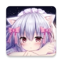 喵可莉的兔玩偶