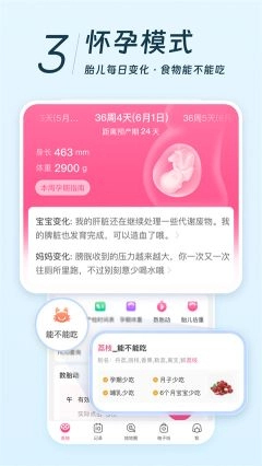美柚(5)