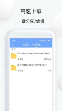 短视频提取大师