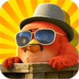 丛林鸟大冒险最新版