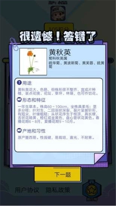 爱上鲜花红包版