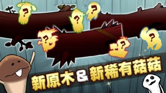 究极菇菇栽培研究室(2)