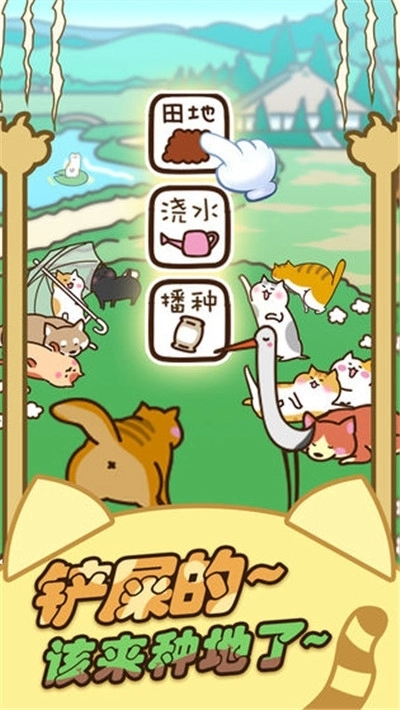 奇妙猫之家红包版