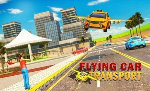 飞往天空图4