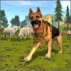 牧羊犬模拟器