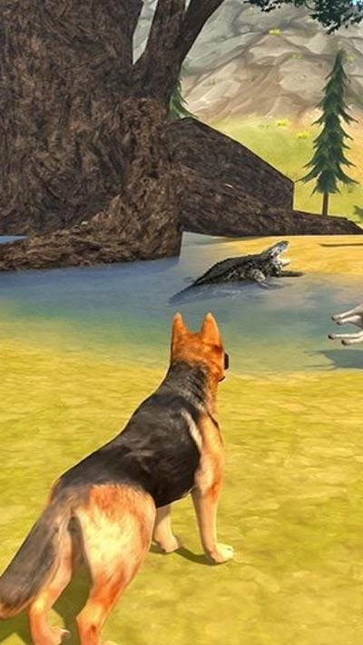 牧羊犬模拟器