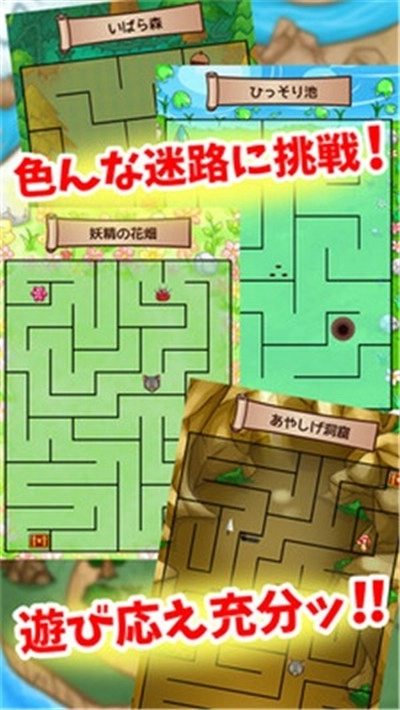 动物迷宫