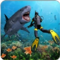 狩猎食人鲨游戏正版