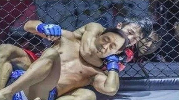 太极掌门马保国游戏手机版(3)