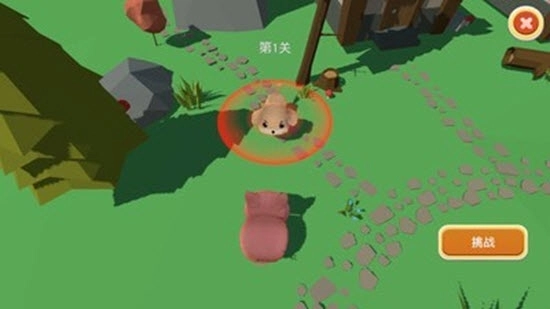 格斗小动物(3)