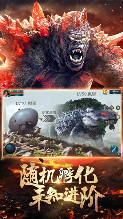 天行道之终极吞噬图3
