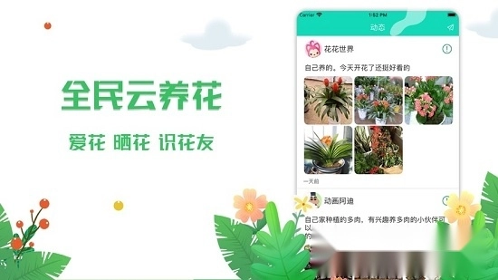 梦幻乐园红包版