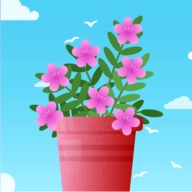 欢乐养花红包版