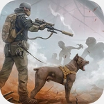 生存高手安卓版