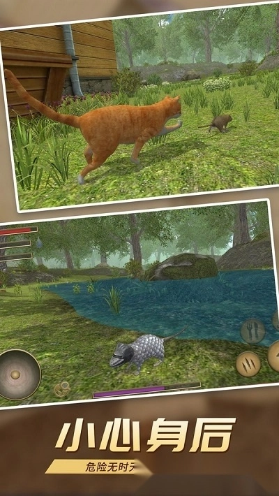 真实老鼠模拟图4