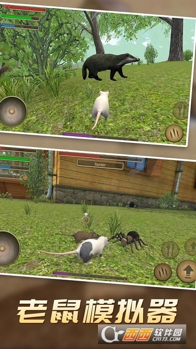 真实老鼠模拟图3