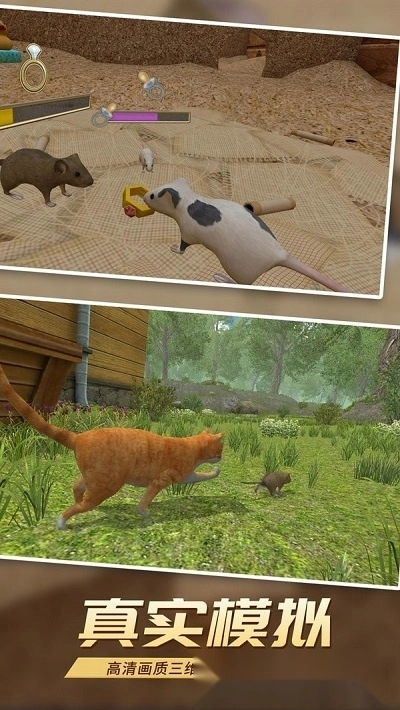 真实老鼠模拟图2