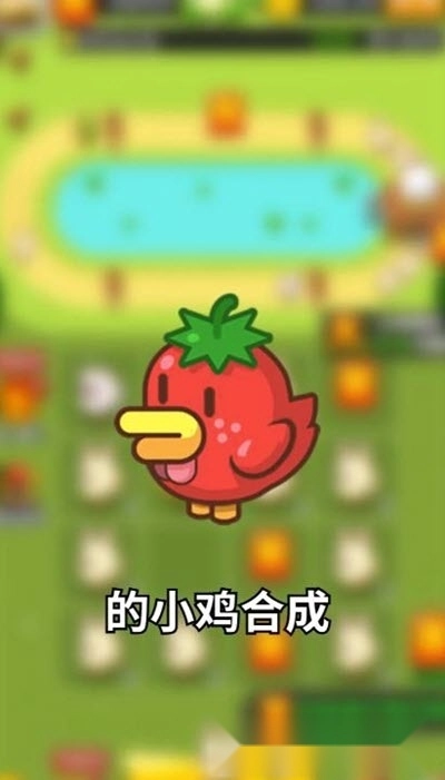 首富养鸡场红包版(2)